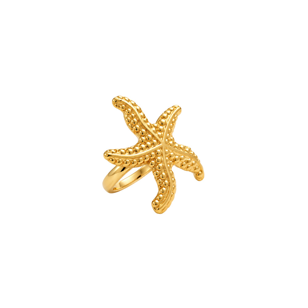 Golden Starfish Earrings