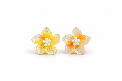 Korean Earring