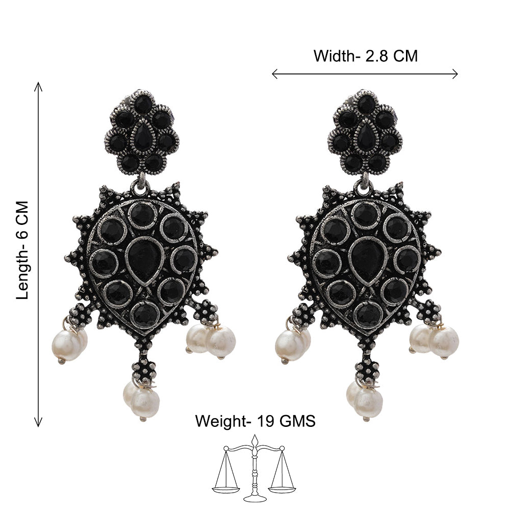 Drop Radiance dangler earrings (Black)