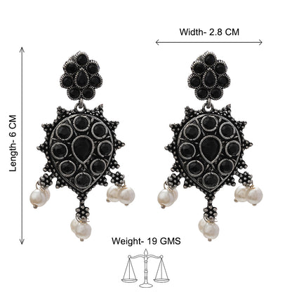 Drop Radiance dangler earrings (Black)