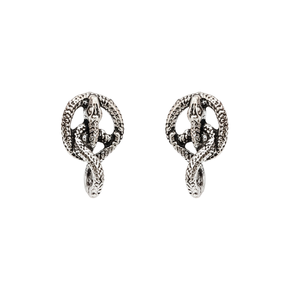 Swirly snake oxidised stud earrings (Silver)
