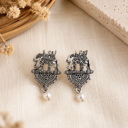 Earrings New