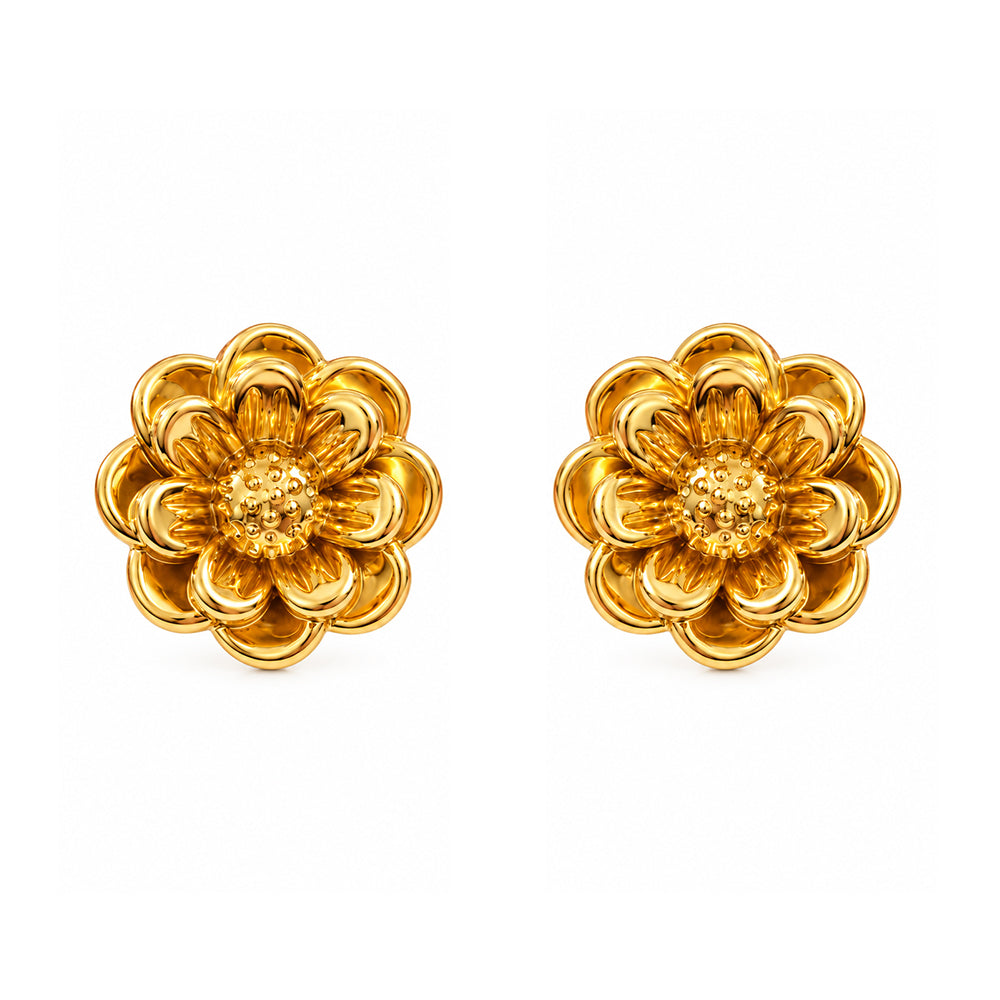 New Earrings