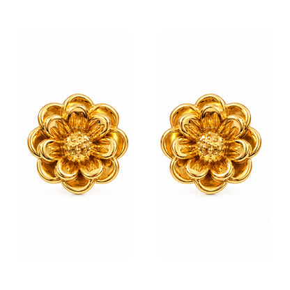 New Earrings